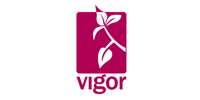 Vigor Groep Training & Advies Logo